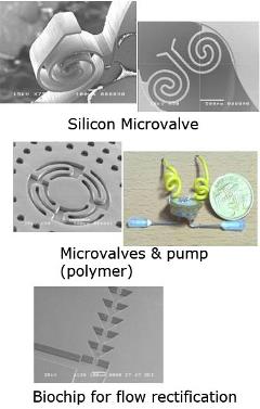 biochips