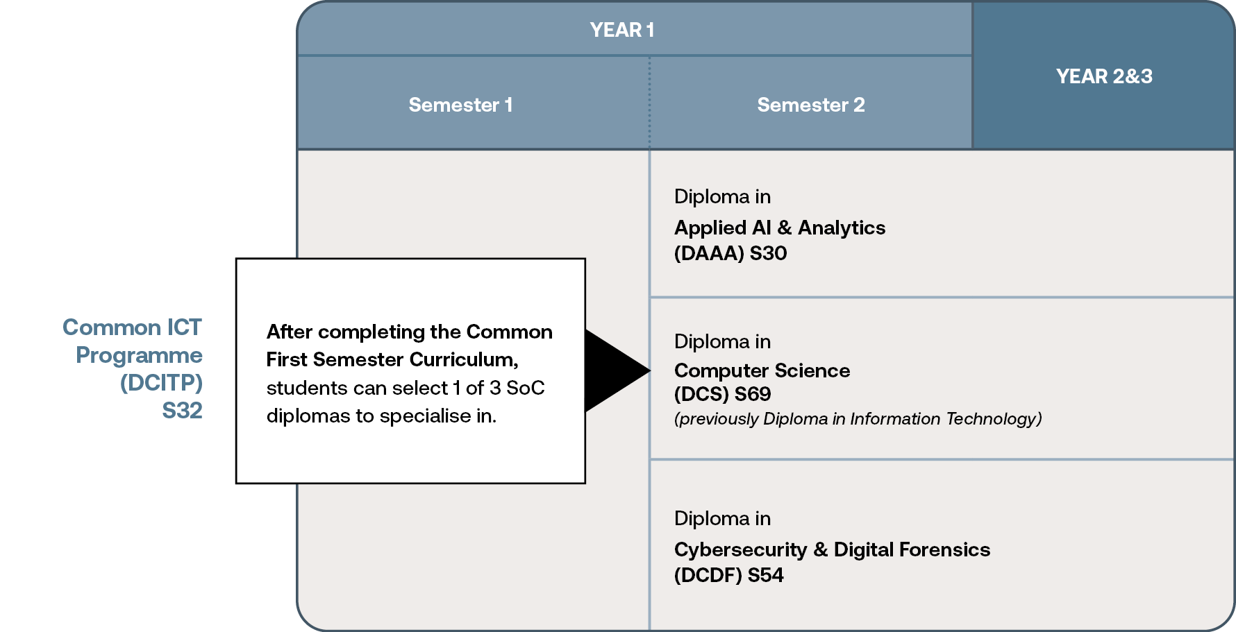 DCITP Curriculum