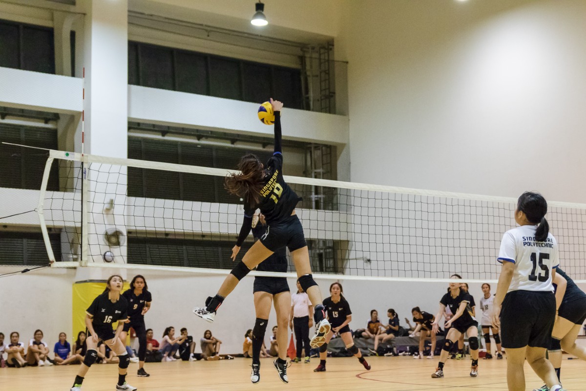 SD-Vollyball-v01