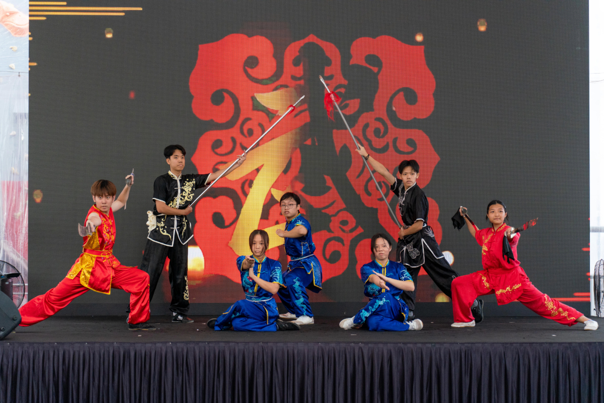 SD-Wushu-v01