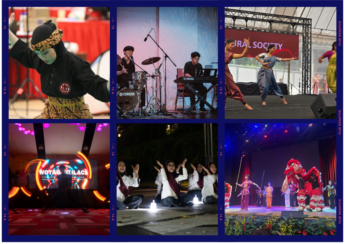 AF Website (1)